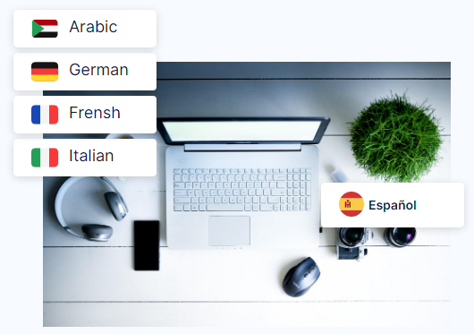 Subtitle File Formats